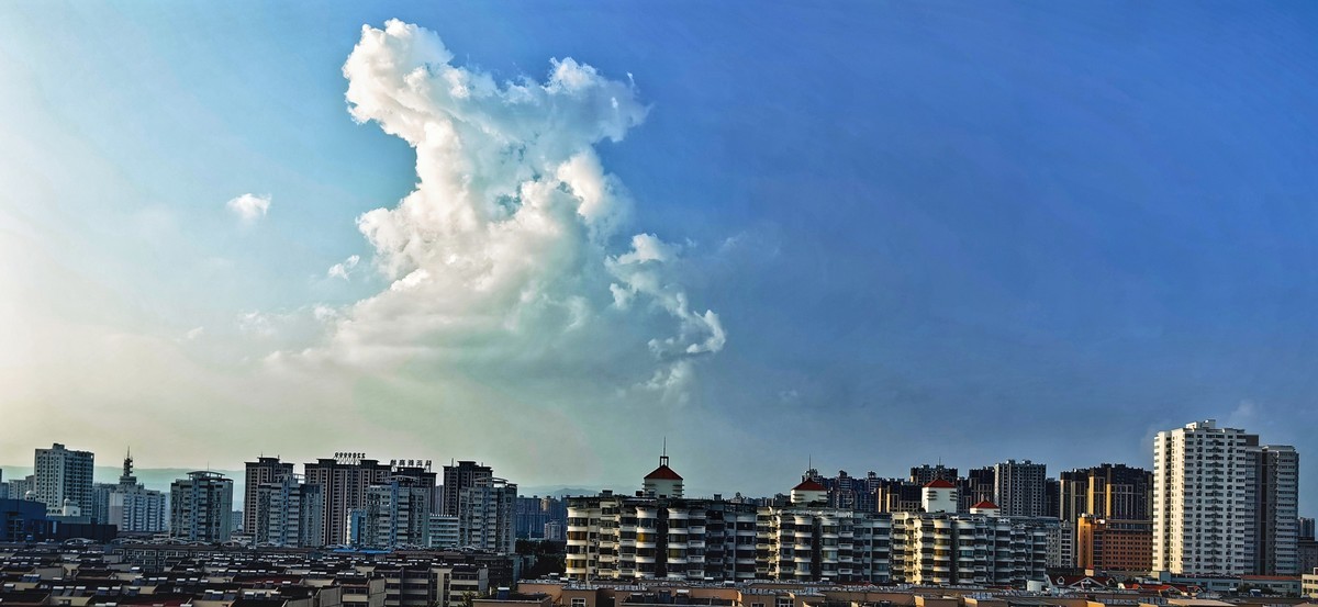 宅家随手拍（手机版）