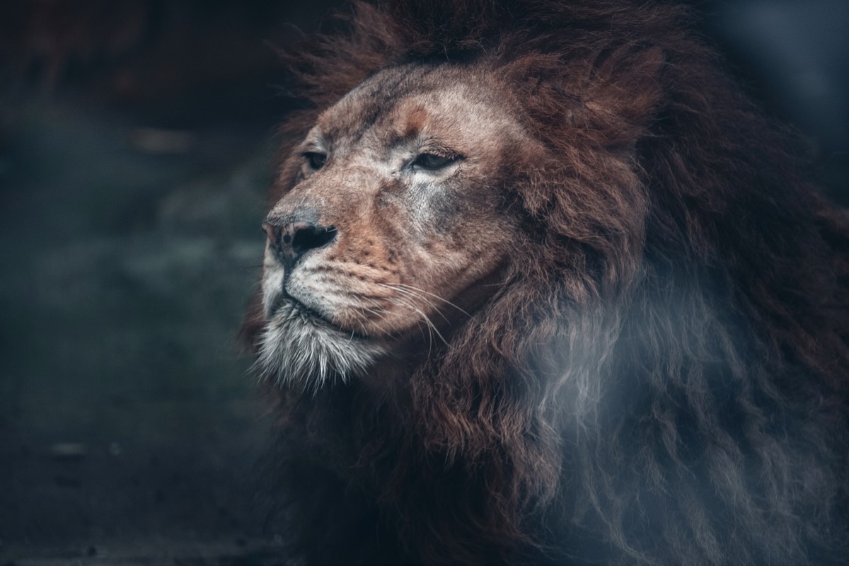 动物园试新镜头Z100-400