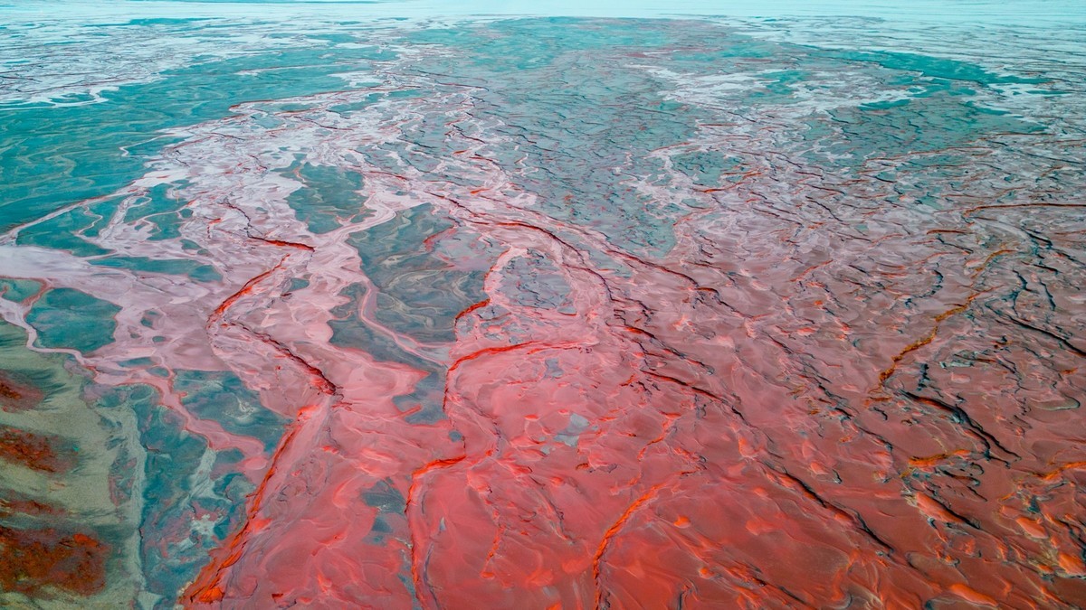 上 帝 的 画 板 （ 三 ）