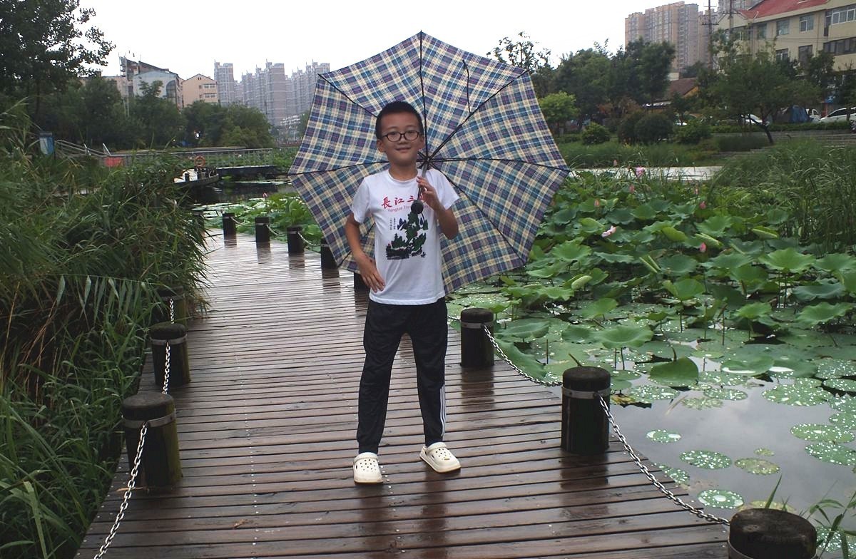 傍晚细雨中的荷塘