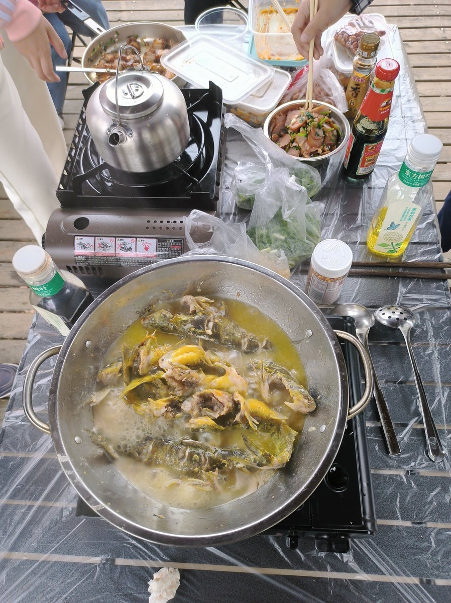 漫步星城 走街串巷（548）田野农场