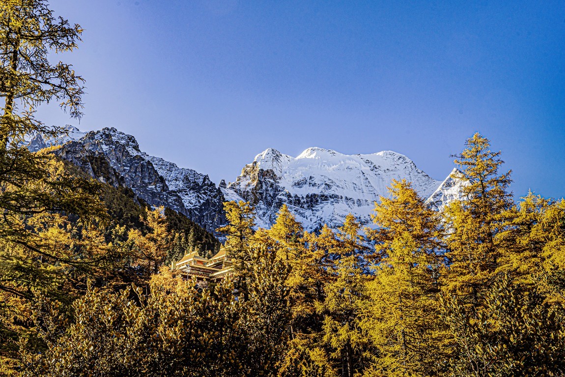 仙乃日--稻城亚丁三神山之首【4】冲古寺
