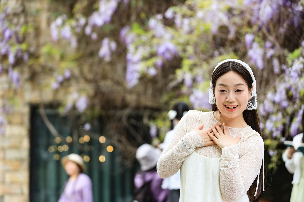 月湖公园紫腾花--45