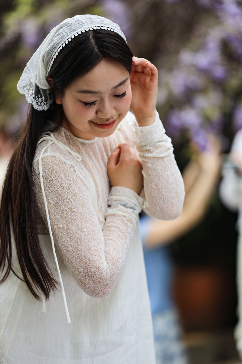 月湖公园紫腾花--45