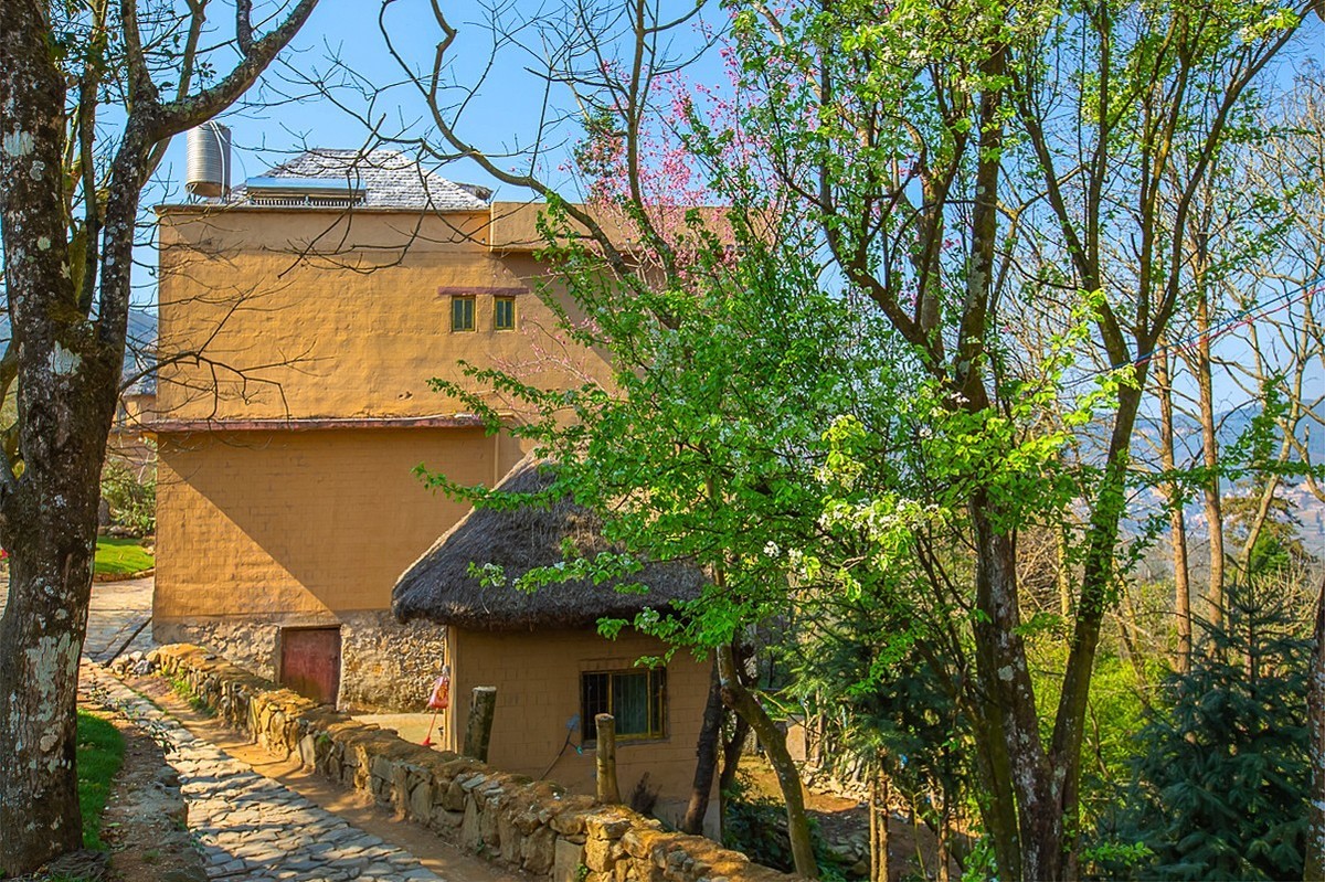 2025-04-25云南元阳阿者科村（一）