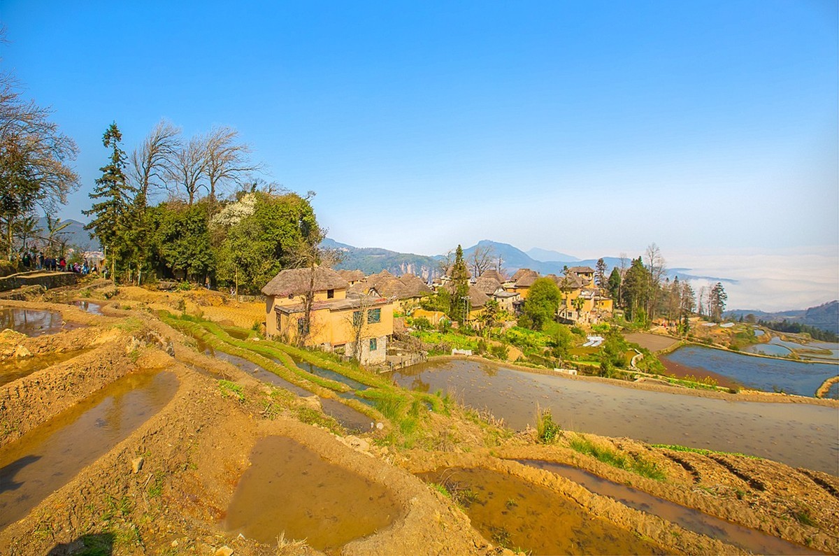 2025-04-25云南元阳阿者科村（一）