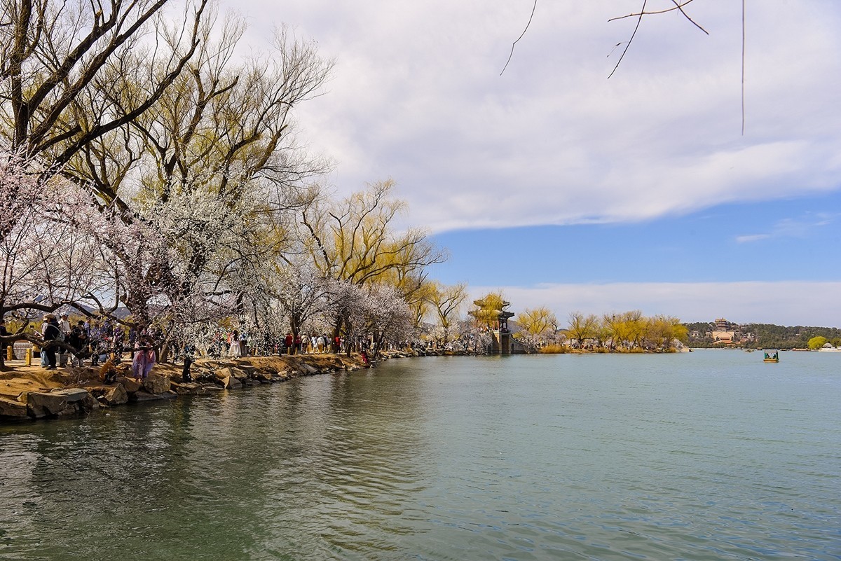 2025年第0335贴-颐和园桃花季（0520）