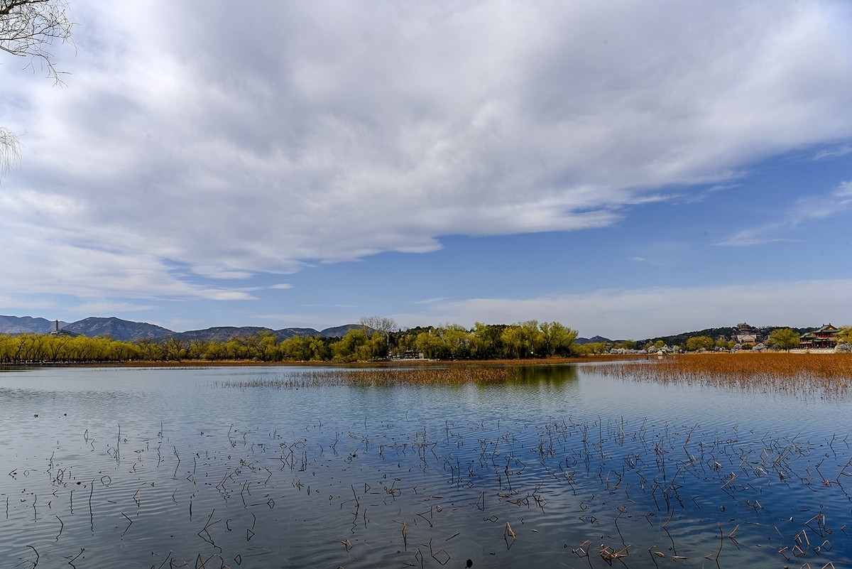 2025年第0335贴-颐和园桃花季（0520）