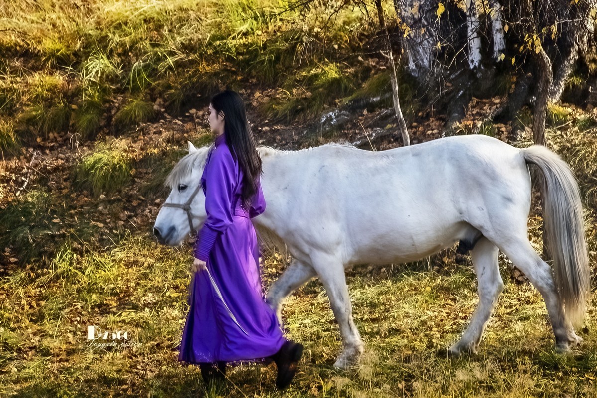 乌兰布统——温顺与柔情（3）