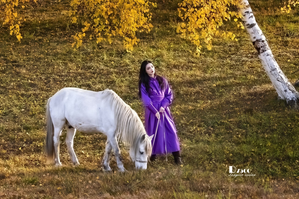 乌兰布统——温顺与柔情（3）