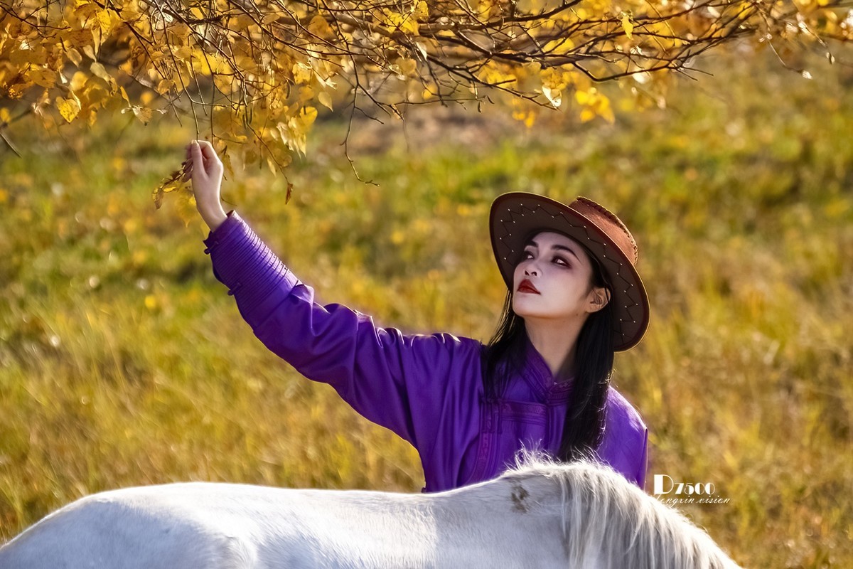 乌兰布统——温顺与柔情（3）