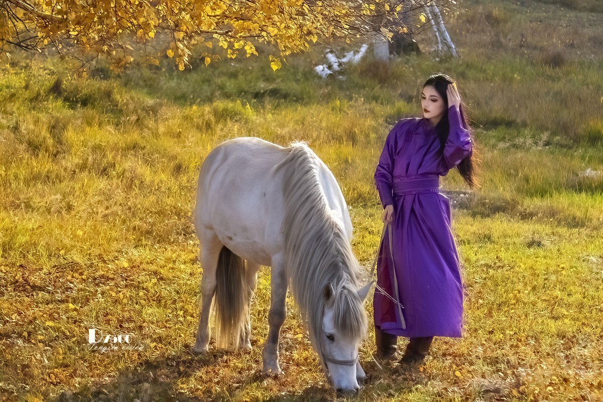 乌兰布统——温顺与柔情（3）