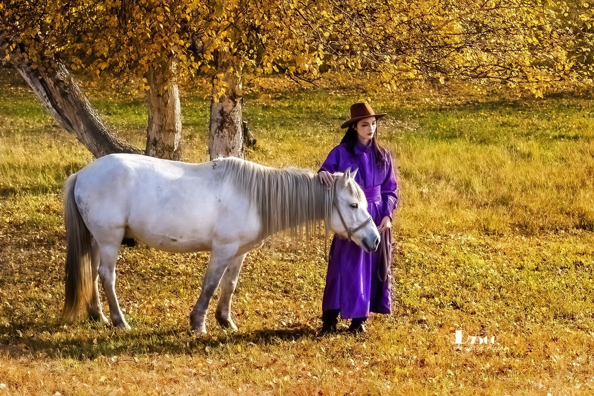 乌兰布统——温顺与柔情（3）