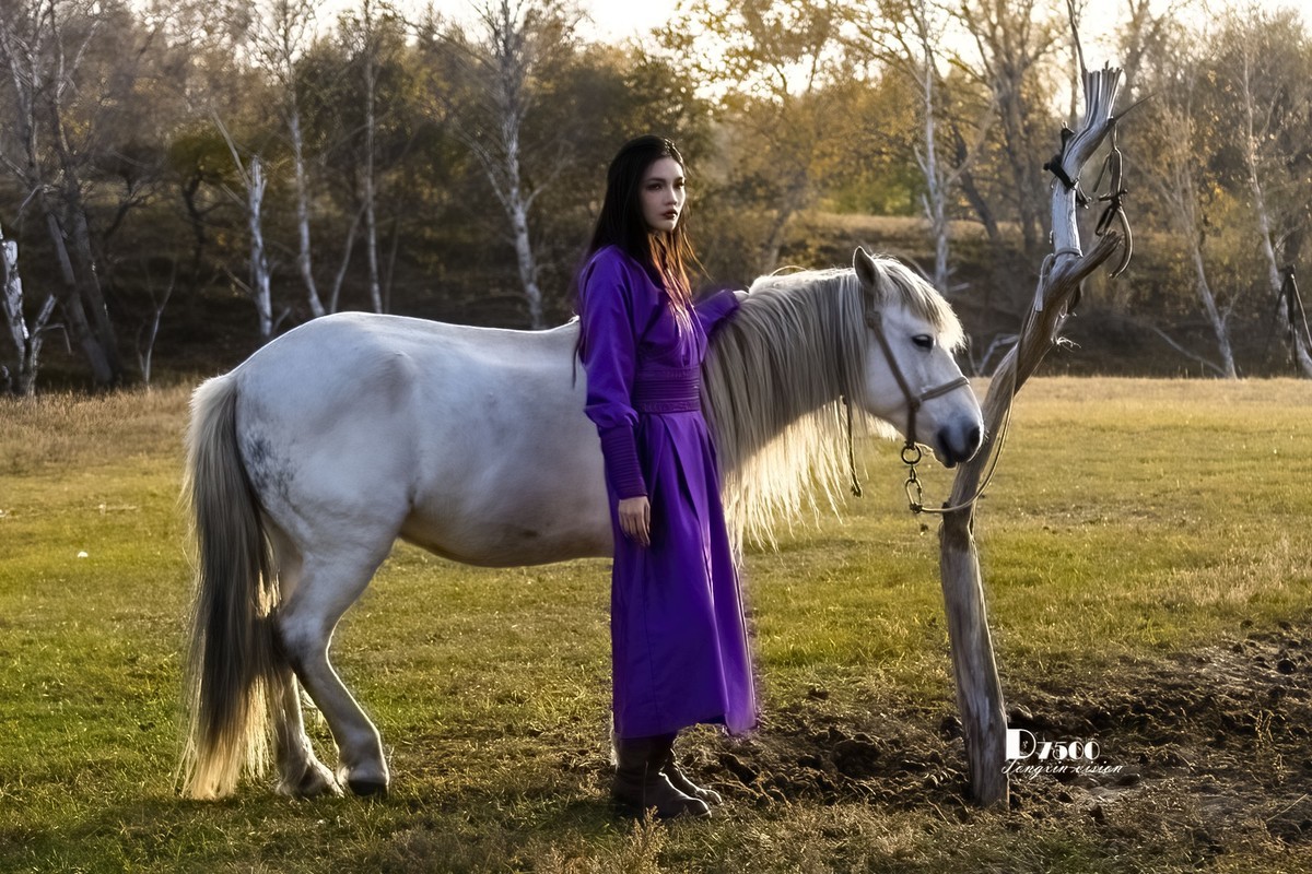 乌兰布统——温顺与柔情（3）