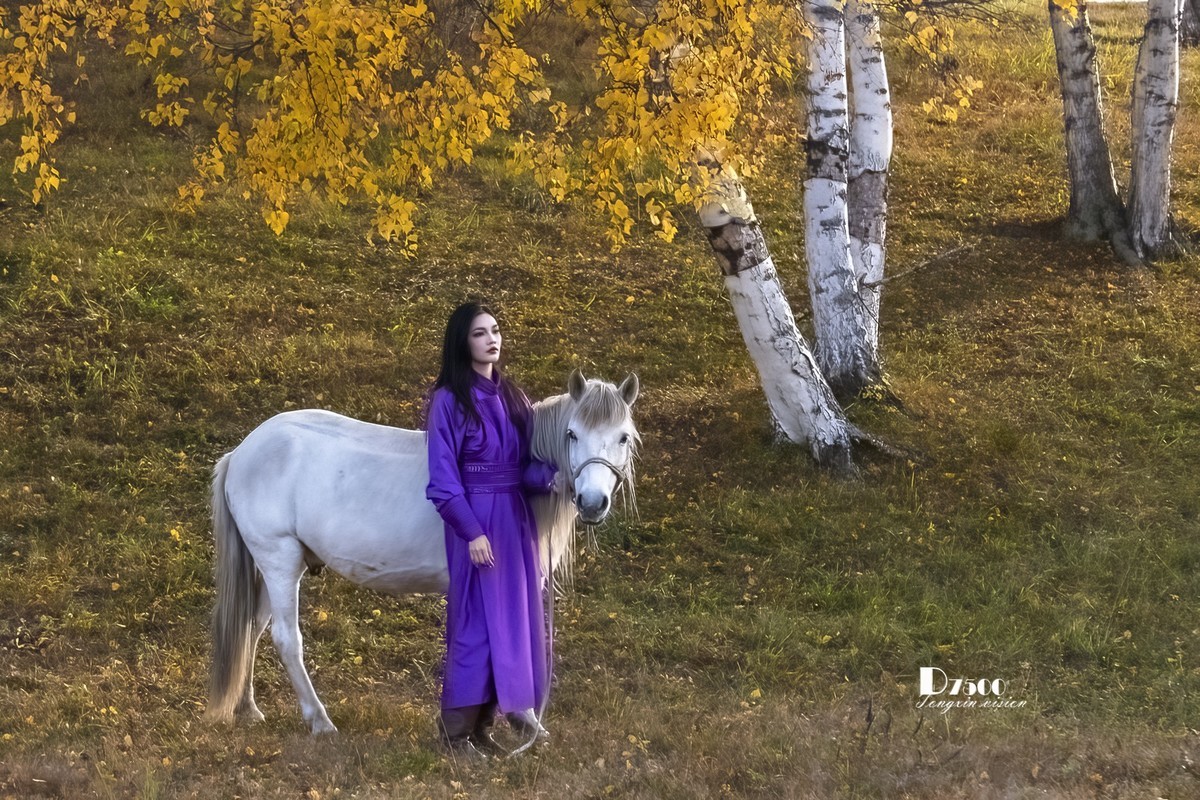 乌兰布统——温顺与柔情（3）