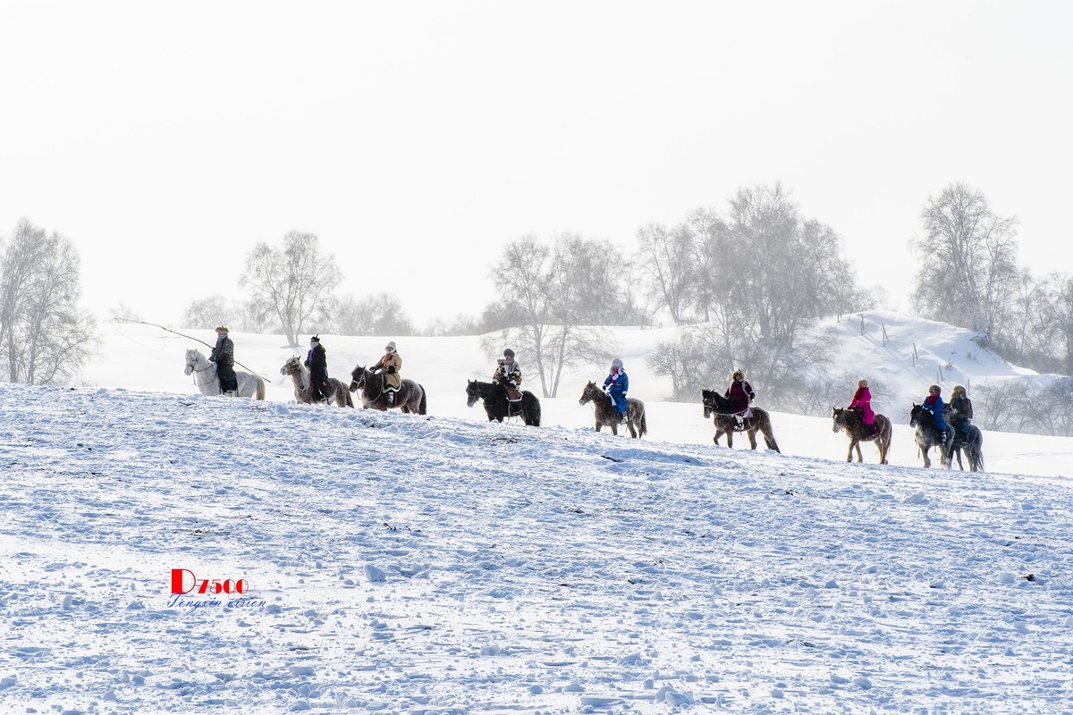 强健&靓丽的牧马人（69）