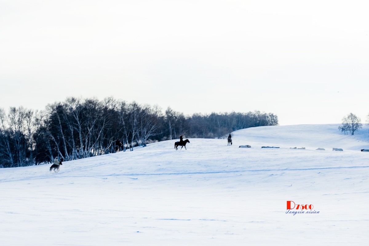 强健&靓丽的牧马人（69）