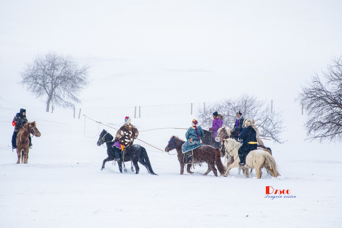 强健&靓丽的牧马人（69）