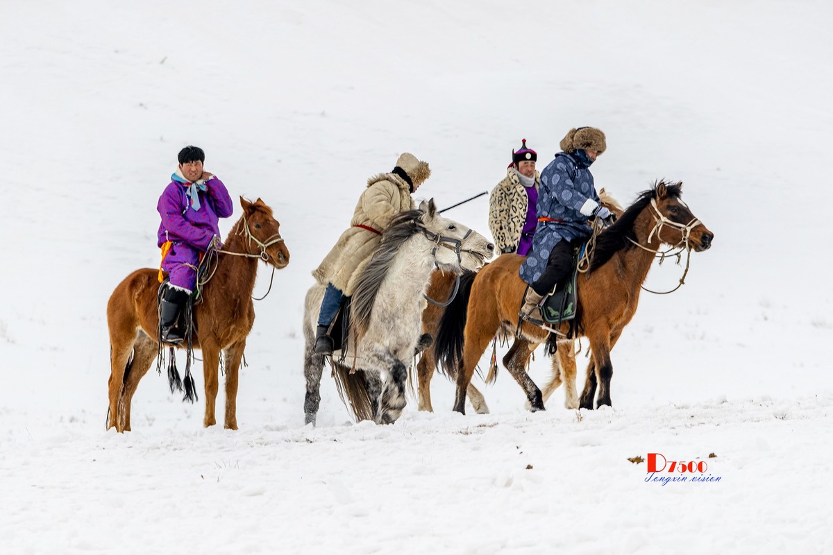 强健&靓丽的牧马人（69）