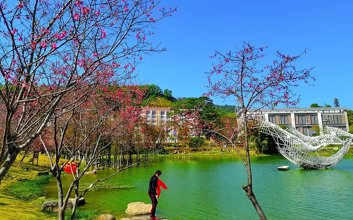 23085 ─ 春游创业公园（完）