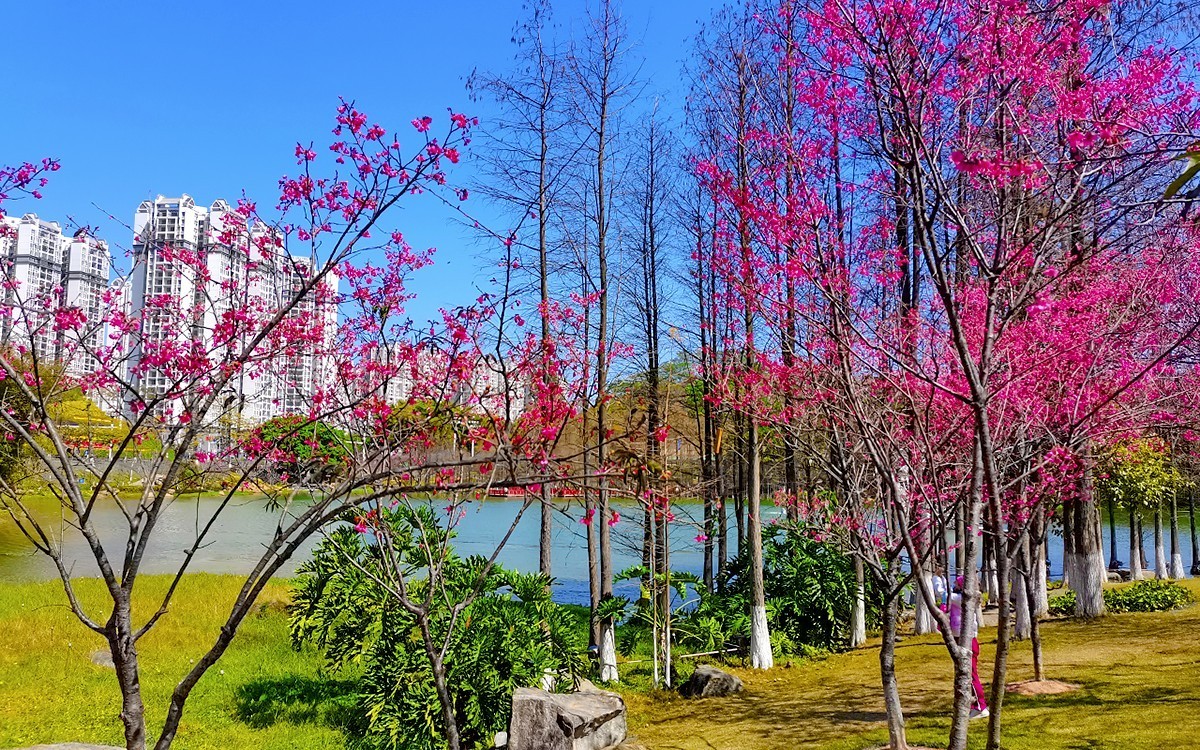 23085 ─ 春游创业公园（完）