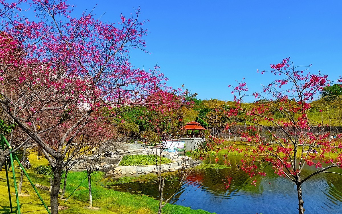 23085 ─ 春游创业公园（完）