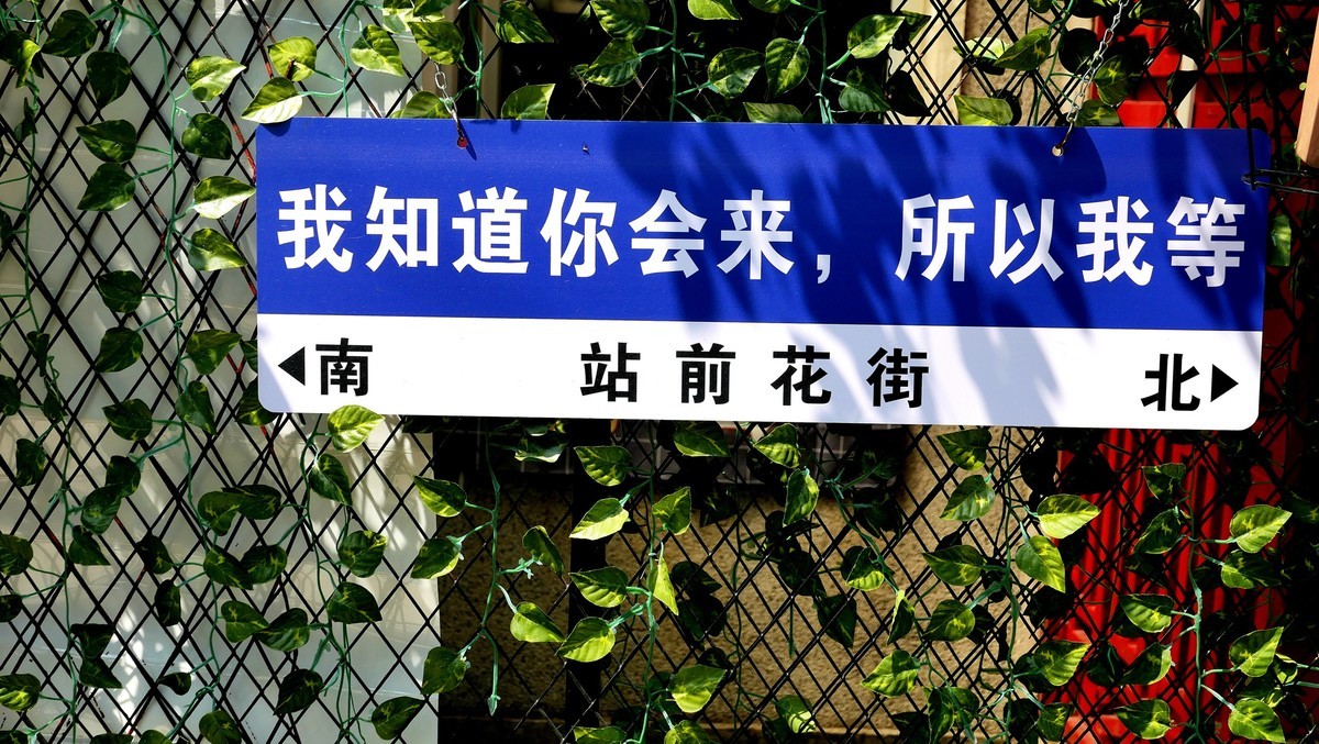 武汉映像---汉阳车前花街掠影！