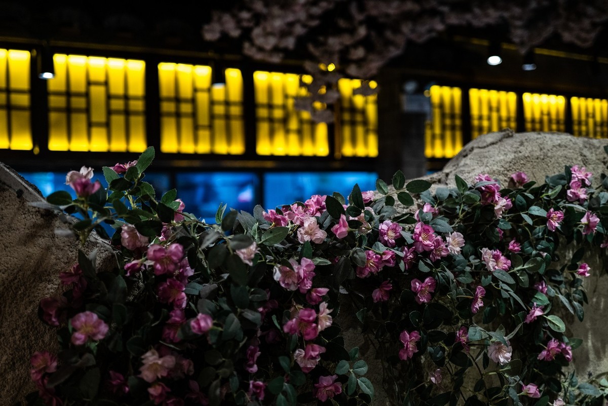 Lecia Q2 ( 湘菜馆随拍 )