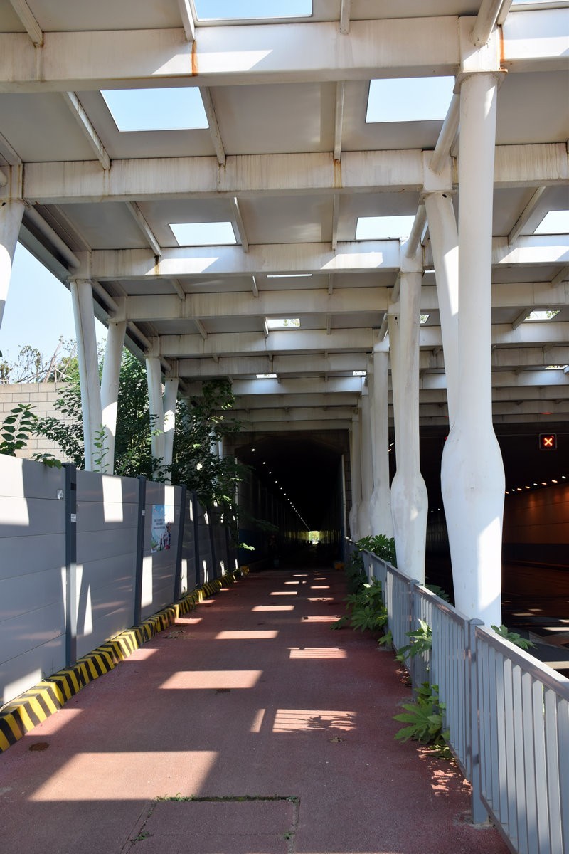 漫步星城 走街串巷（363）女神公园