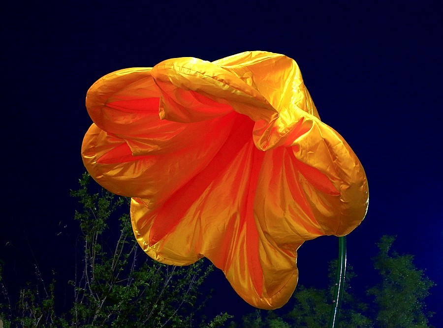 《不老松：纪实摄影》大美沧州系列報道：南川楼夜景！ (3)头回见到这能张能合的路灯！