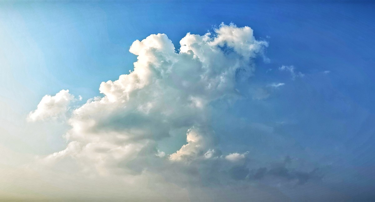 宅家随手拍（手机版）