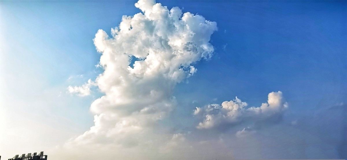 宅家随手拍（手机版）