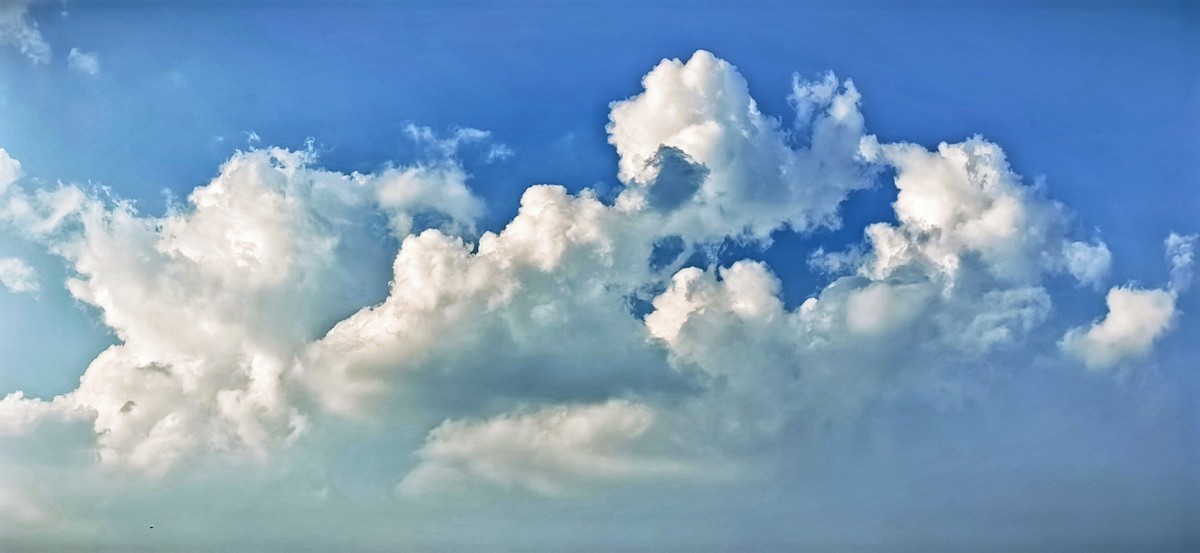 宅家随手拍（手机版）