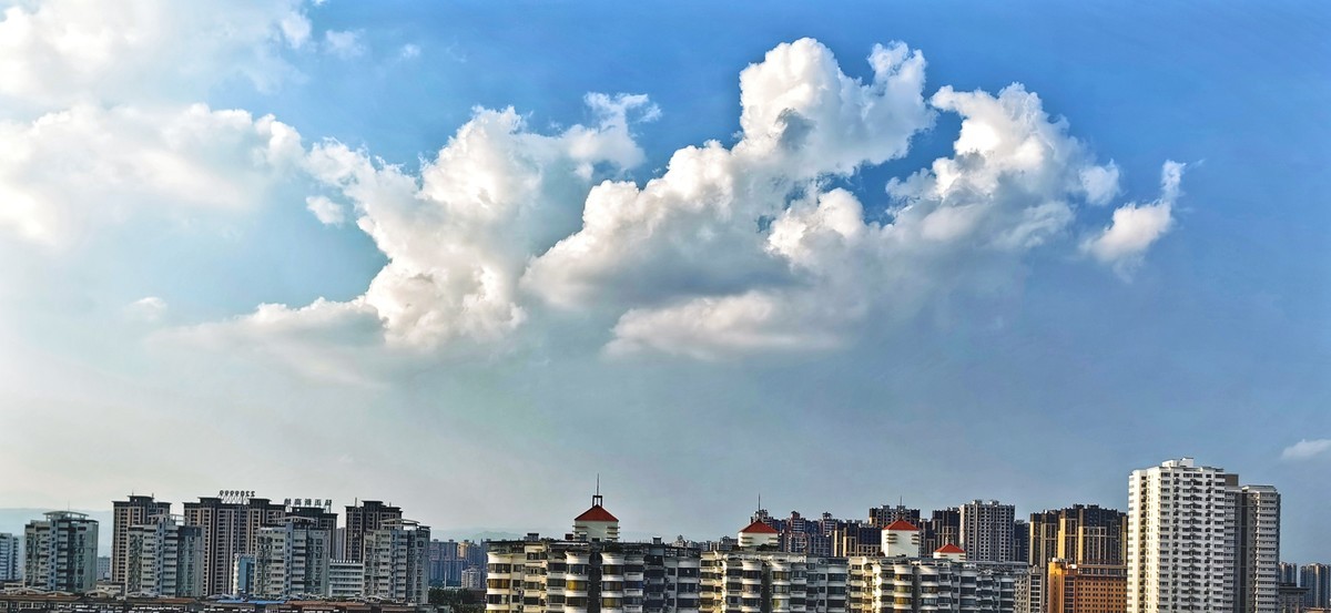 宅家随手拍（手机版）