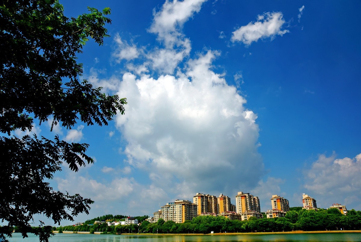 夏风阵阵云飘忽