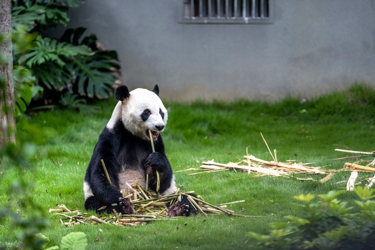 动物园试新镜头Z100-400