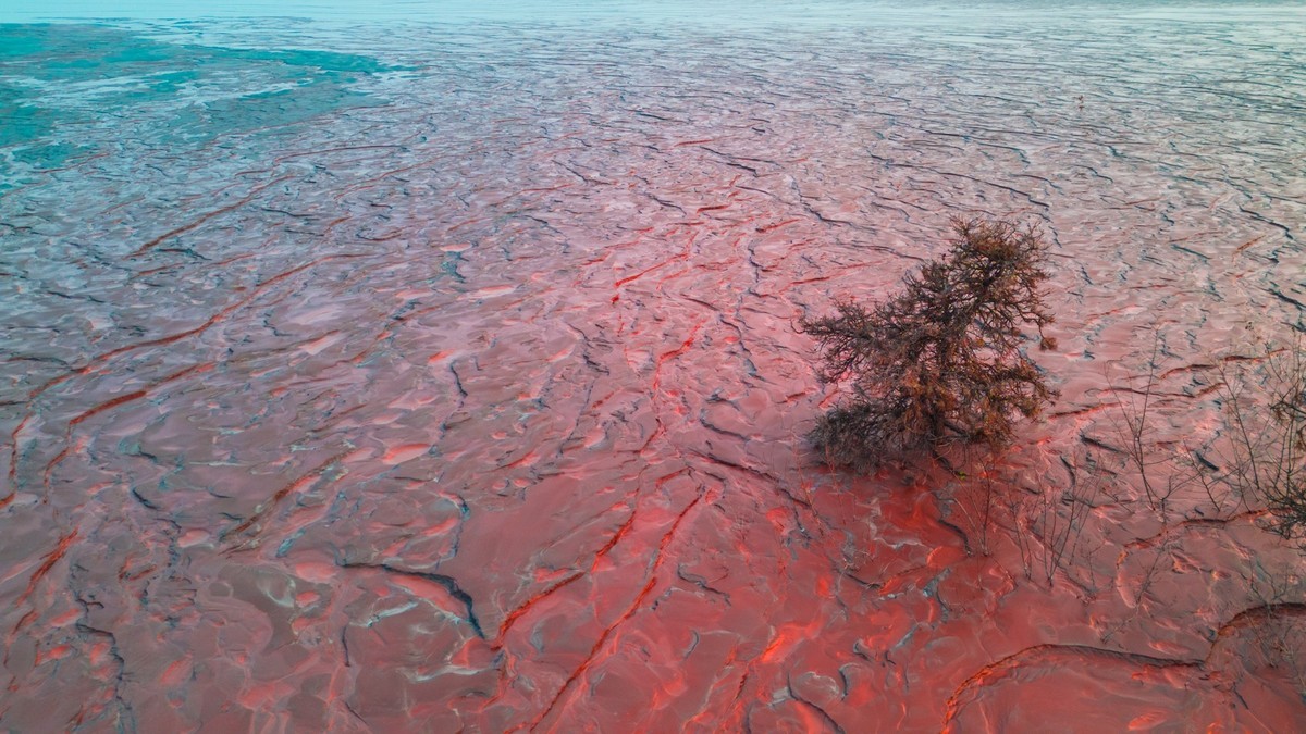 上 帝 的 画 板 （ 三 ）