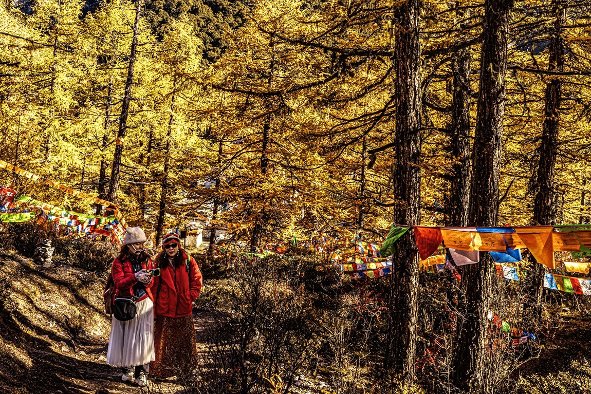 仙乃日--稻城亚丁三神山之首【4】冲古寺
