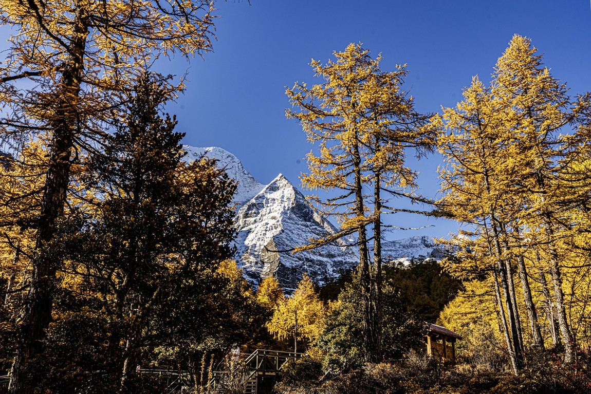 仙乃日--稻城亚丁三神山之首【4】冲古寺