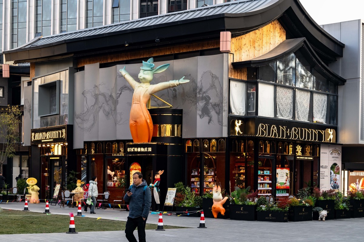 庐州印象（430）西南罍街