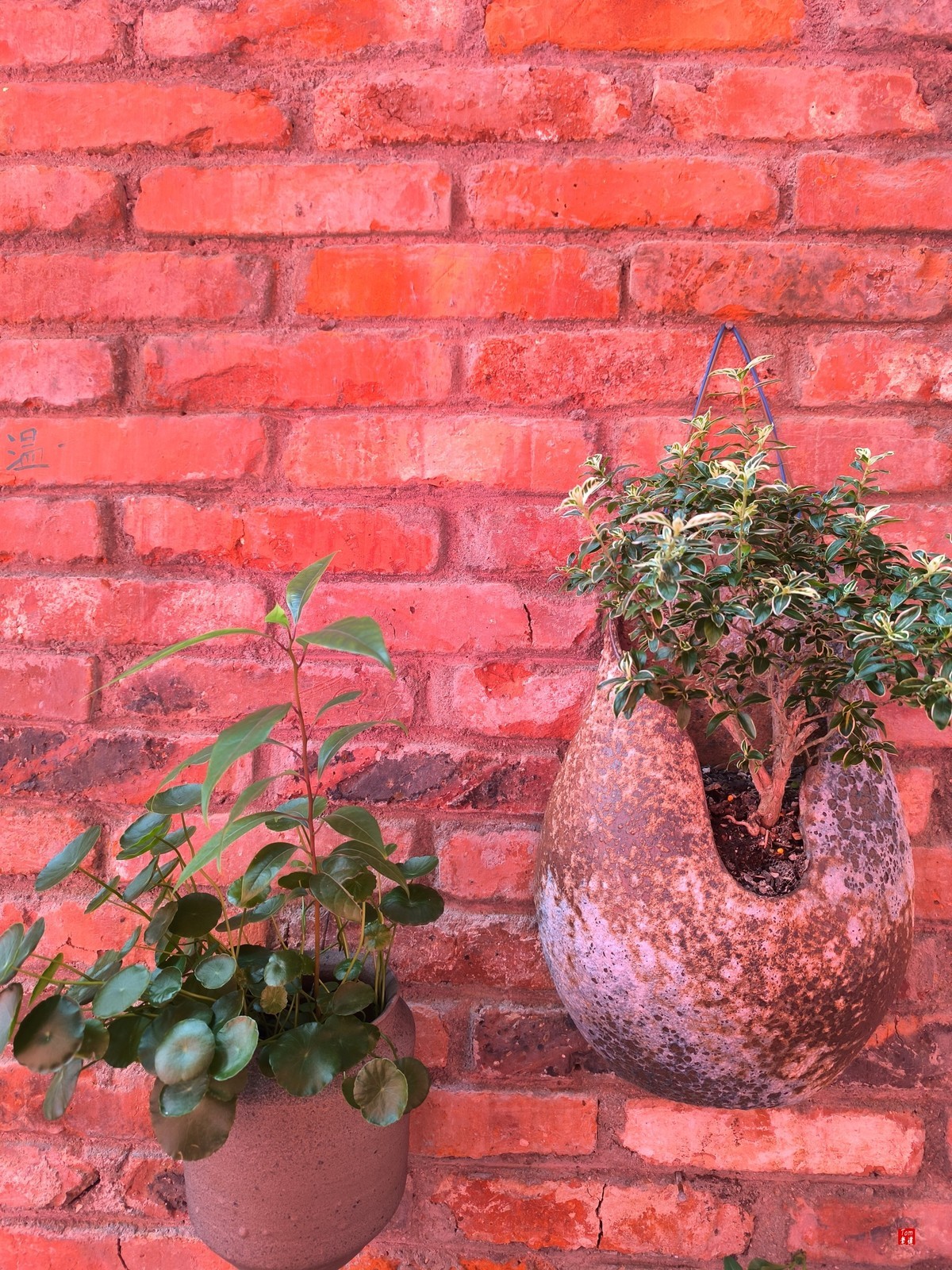 景德镇御窑速览 （33图）！