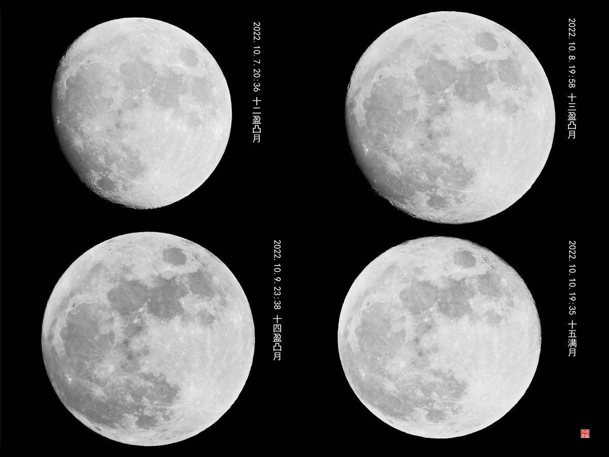 秋花秋月也迷人