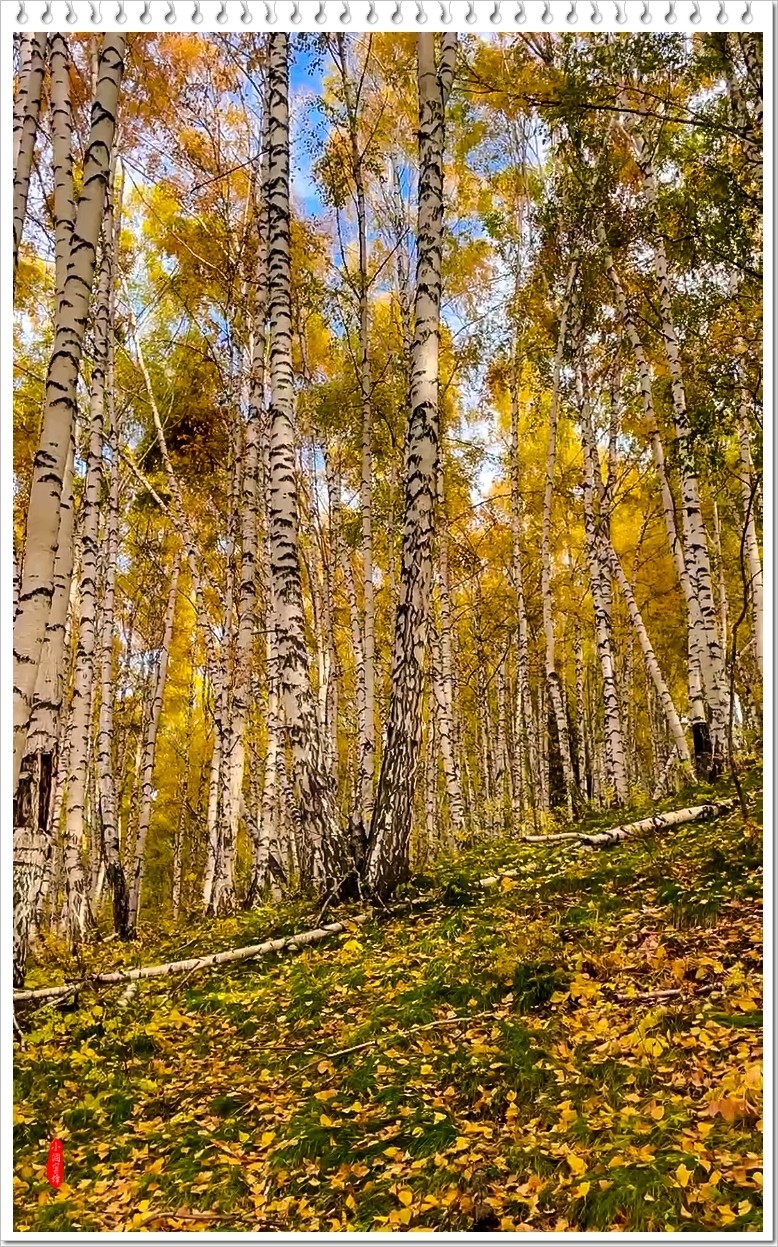 2023年-新疆风光纪实抓拍-955