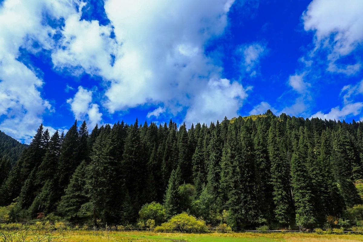 牟尼沟原来如此这般啦！