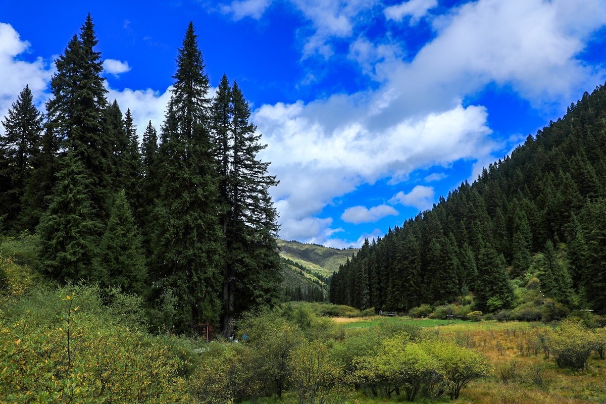 牟尼沟原来如此这般啦！