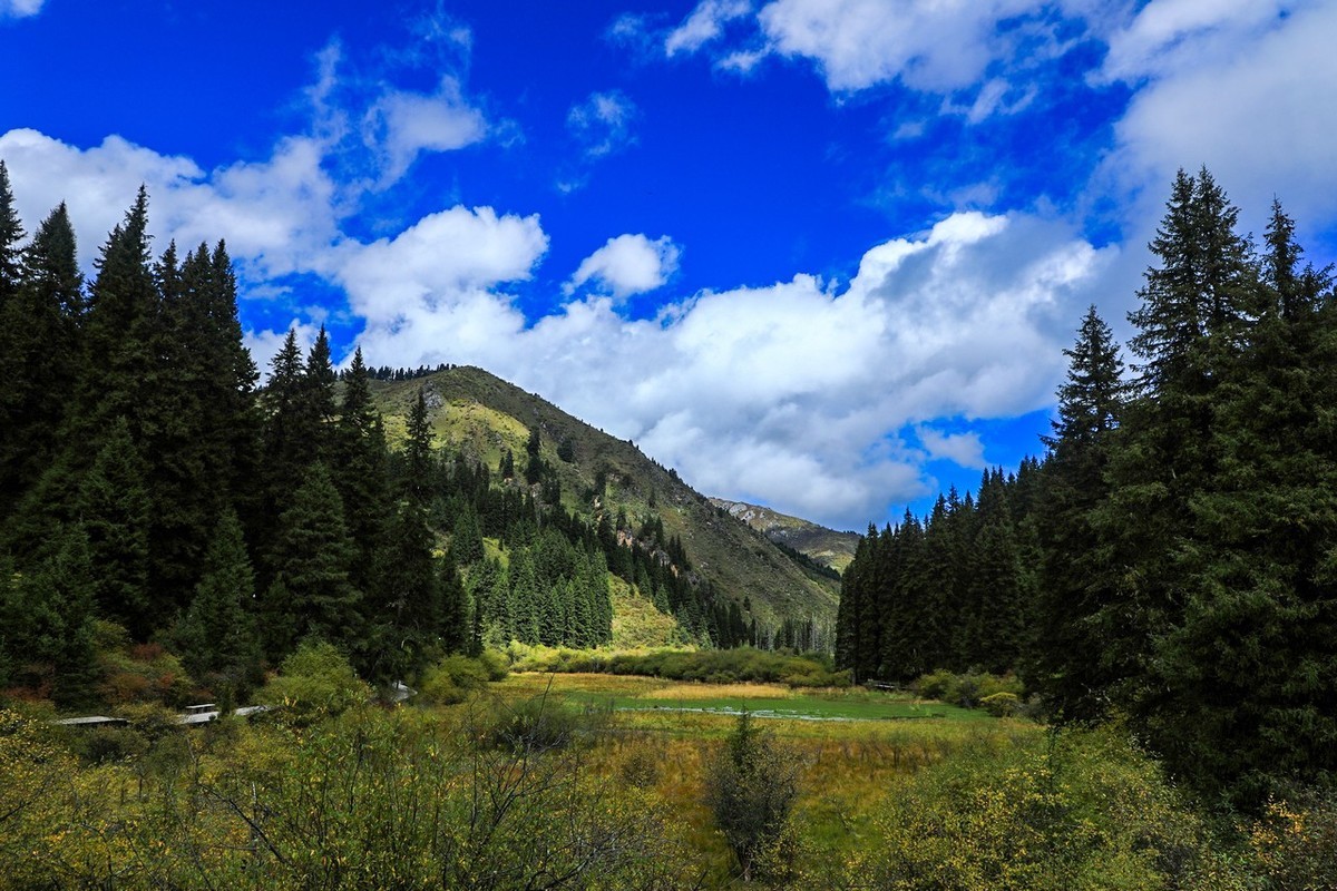 牟尼沟原来如此这般啦！