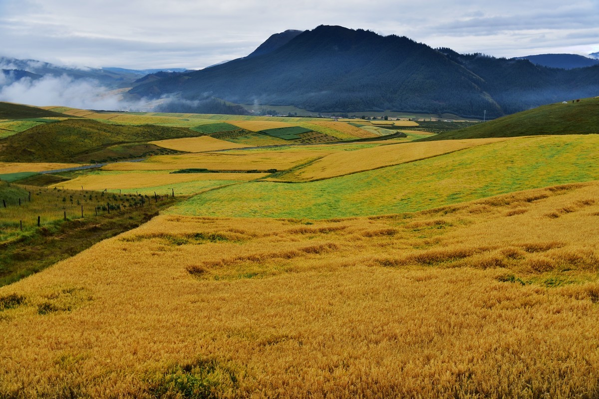 卓尔山风光（2）