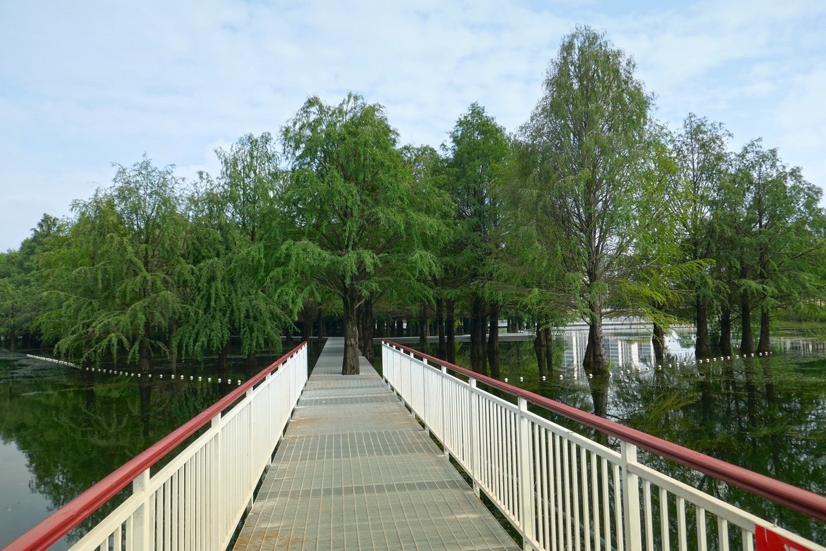 湿地秋拍（续）