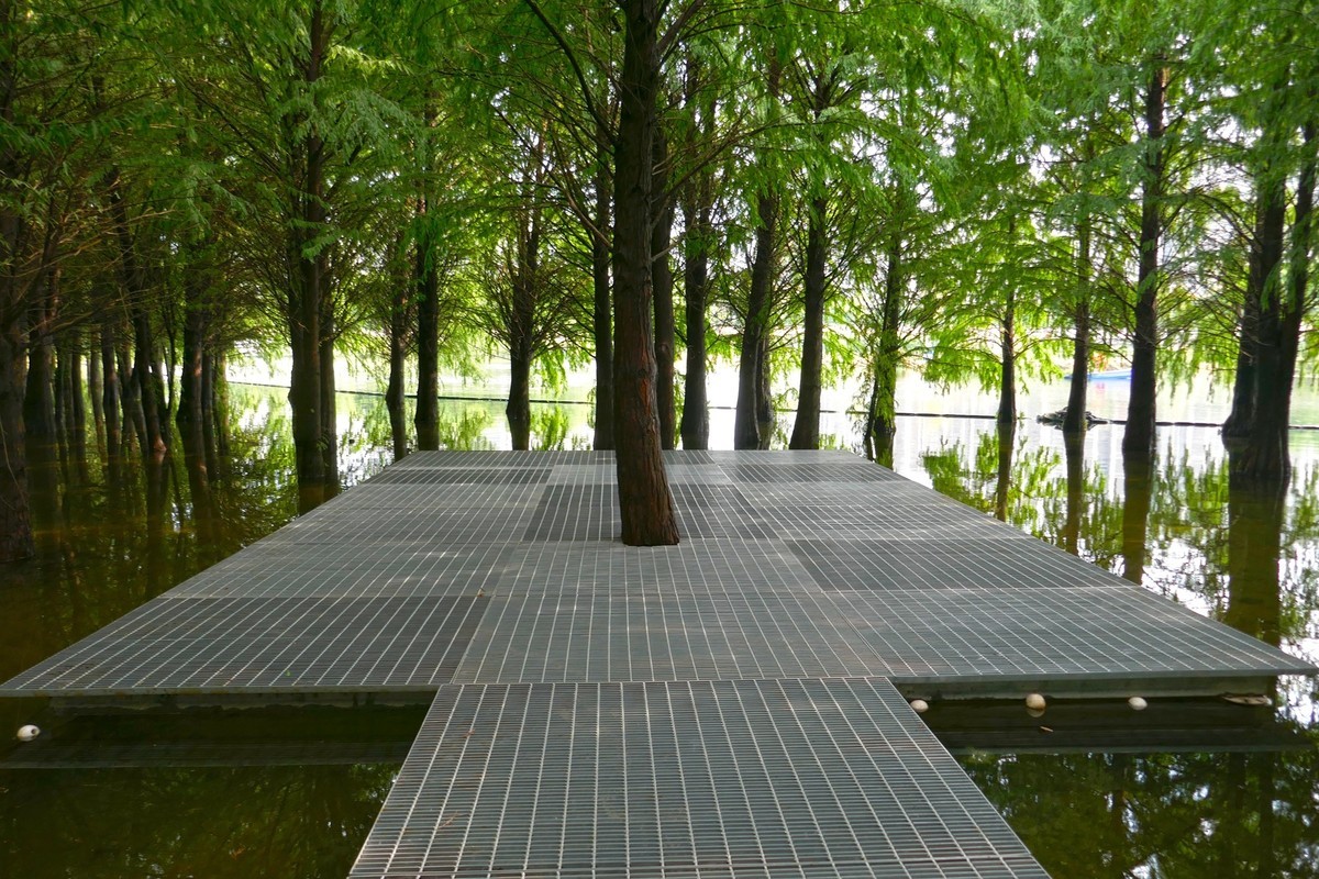 湿地秋拍（续）