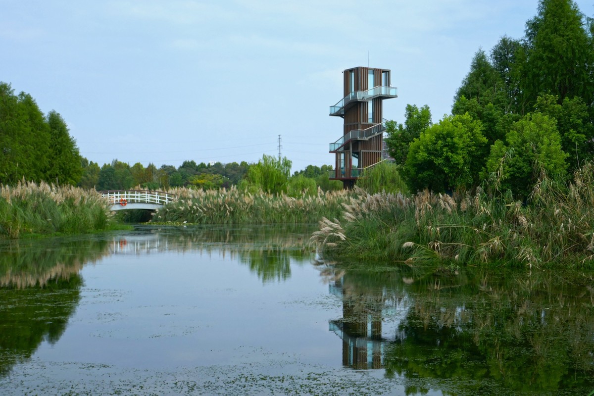 湿地秋拍（续）